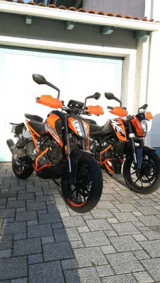 db_Duke-1-2020-klein